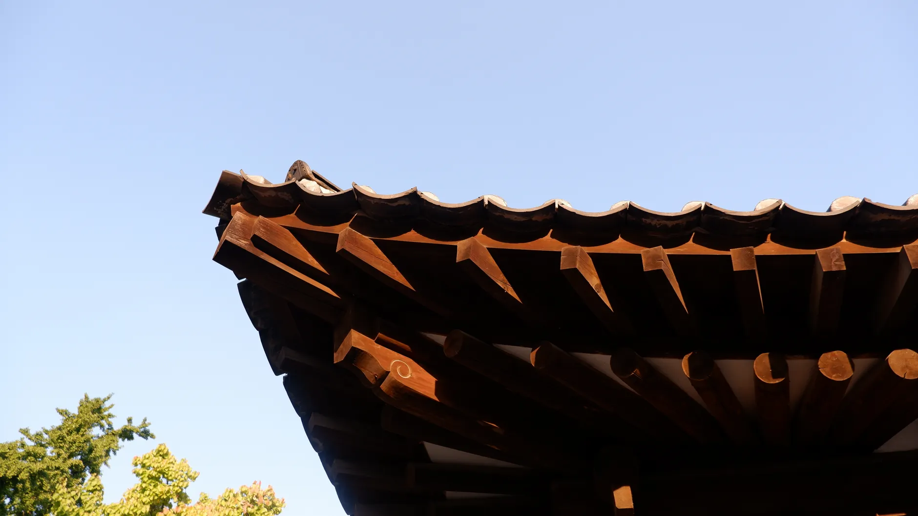 Fascias, Soffits & Rainwater Goods