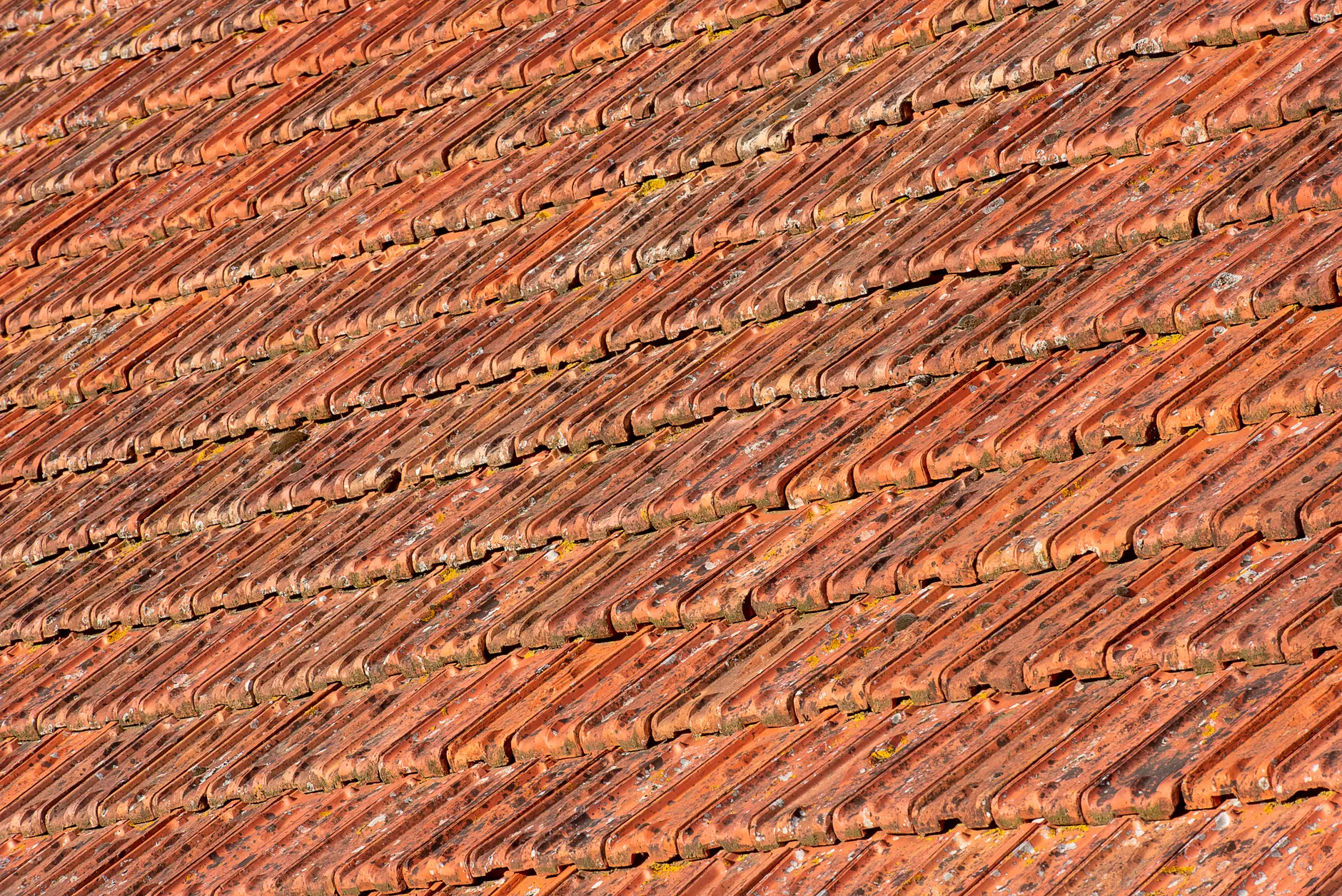Chimney Stacks & Perished Lead on the Terraces