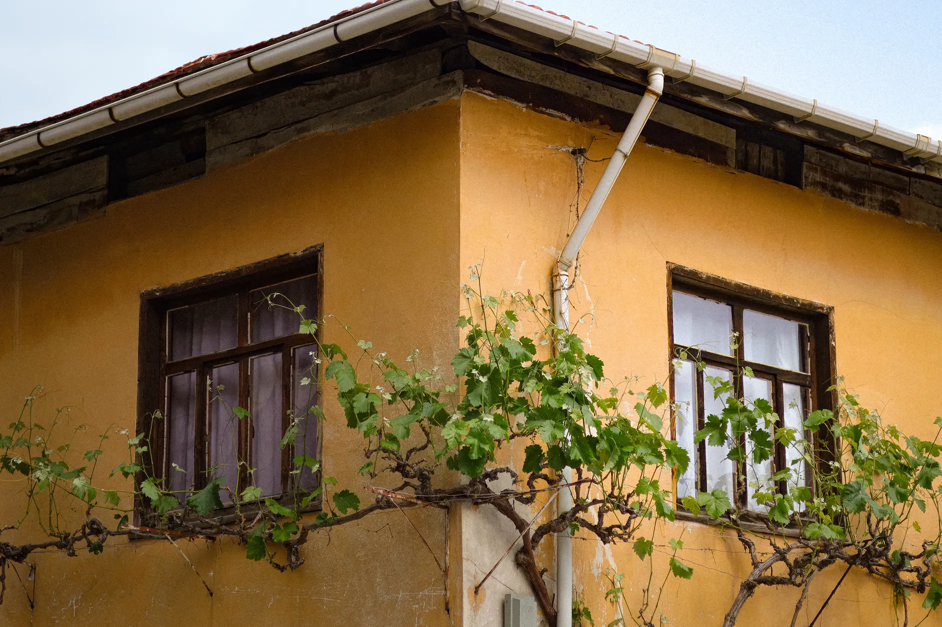 Soft Washing & Biocide Treatment