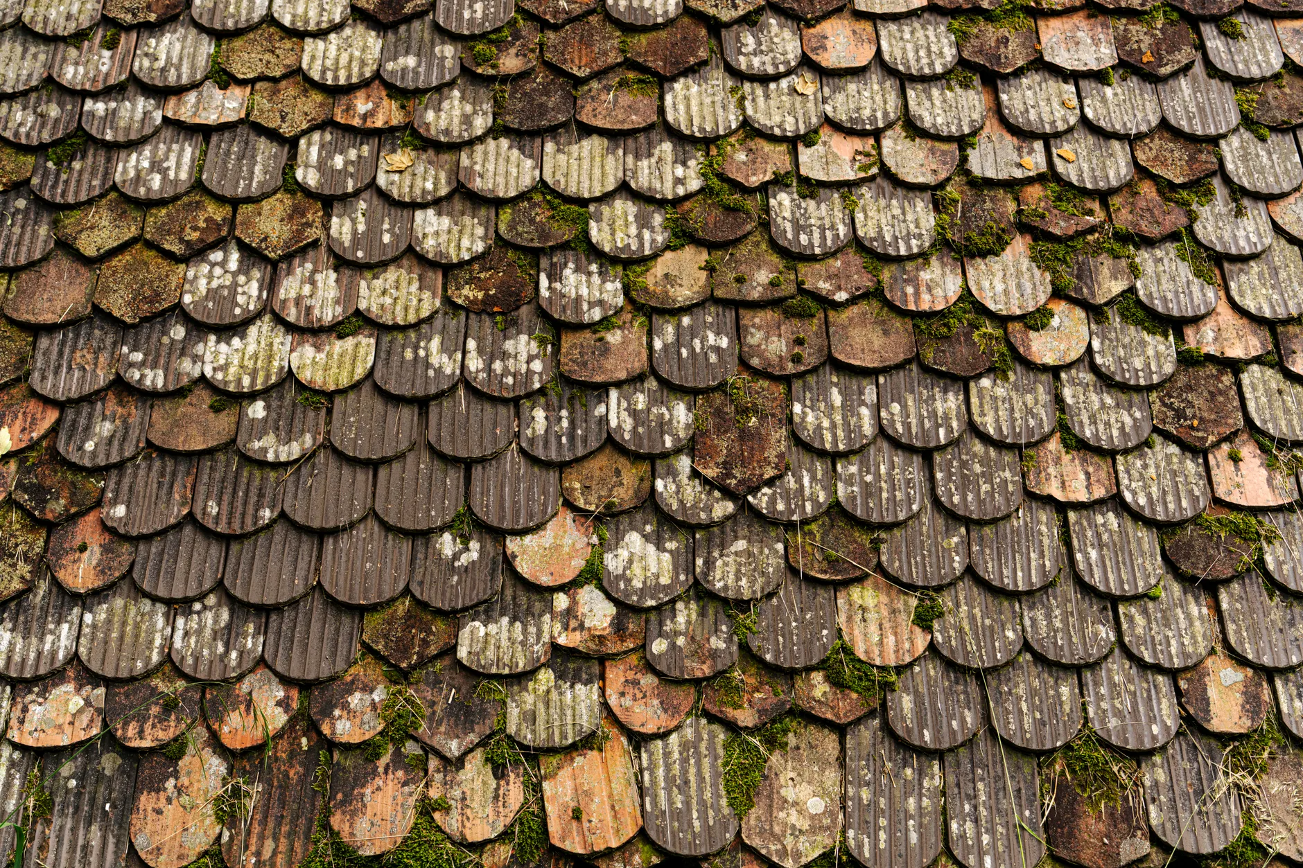 Rain Ingress at Flashings on the Exposed Terraces